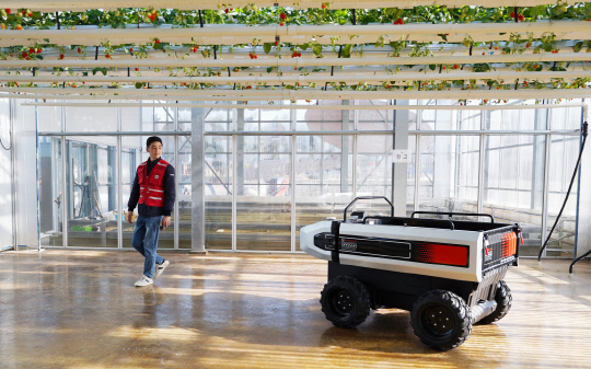 대동의 농업용 자율주행 운반로봇 'RT100'.  대동 제공